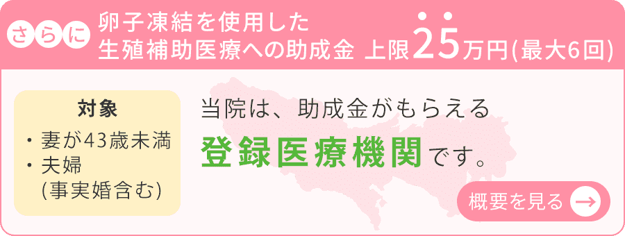 卵子凍結を使用した生殖補助医療への助成金　上限25万円（最大6回）