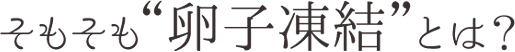 そもそも卵子凍結とは