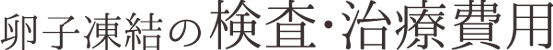 卵子凍結の検査・治療費用