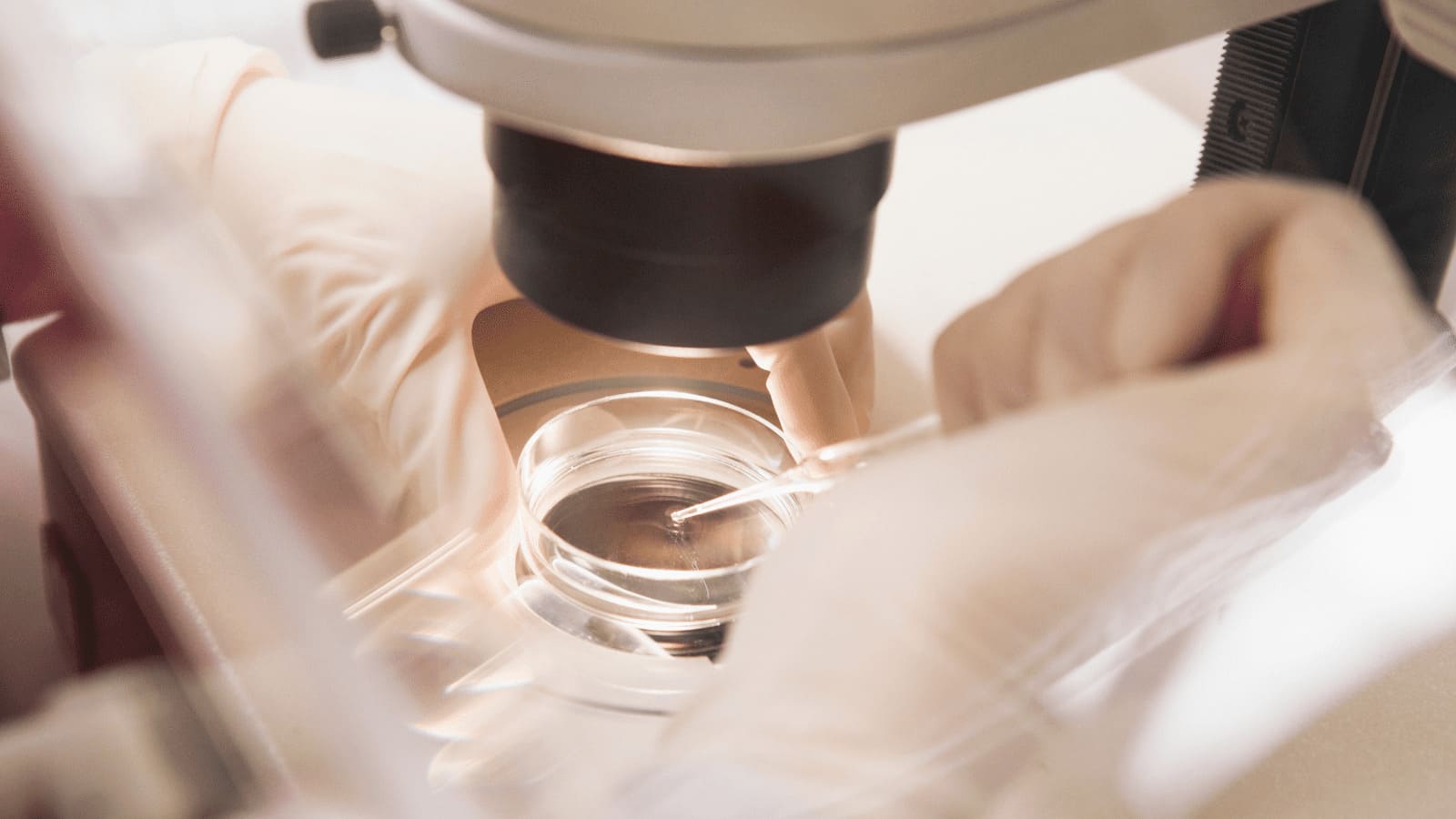 胚盤胞移植による染色体異常確率は？