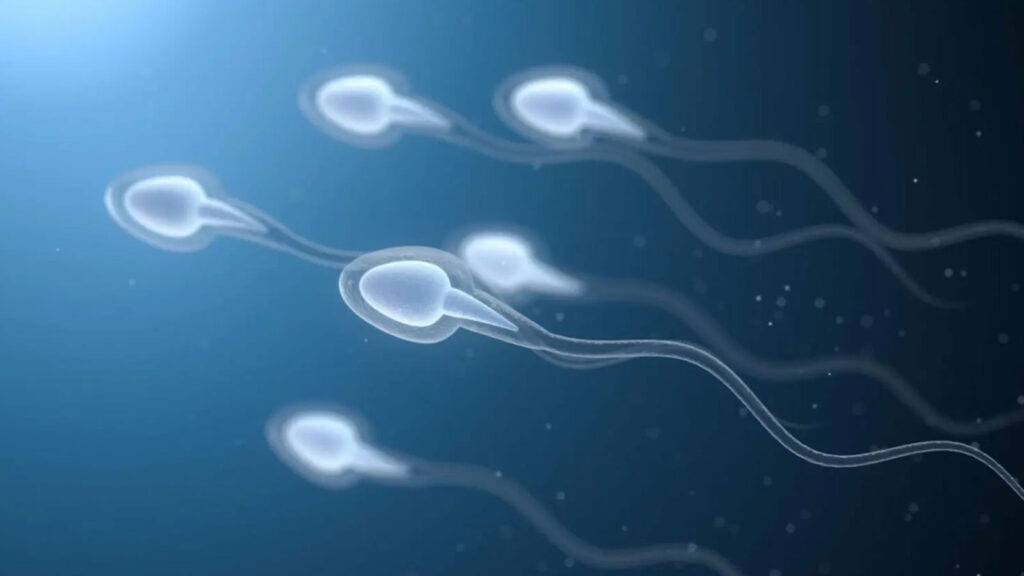 精子の質を高めるために