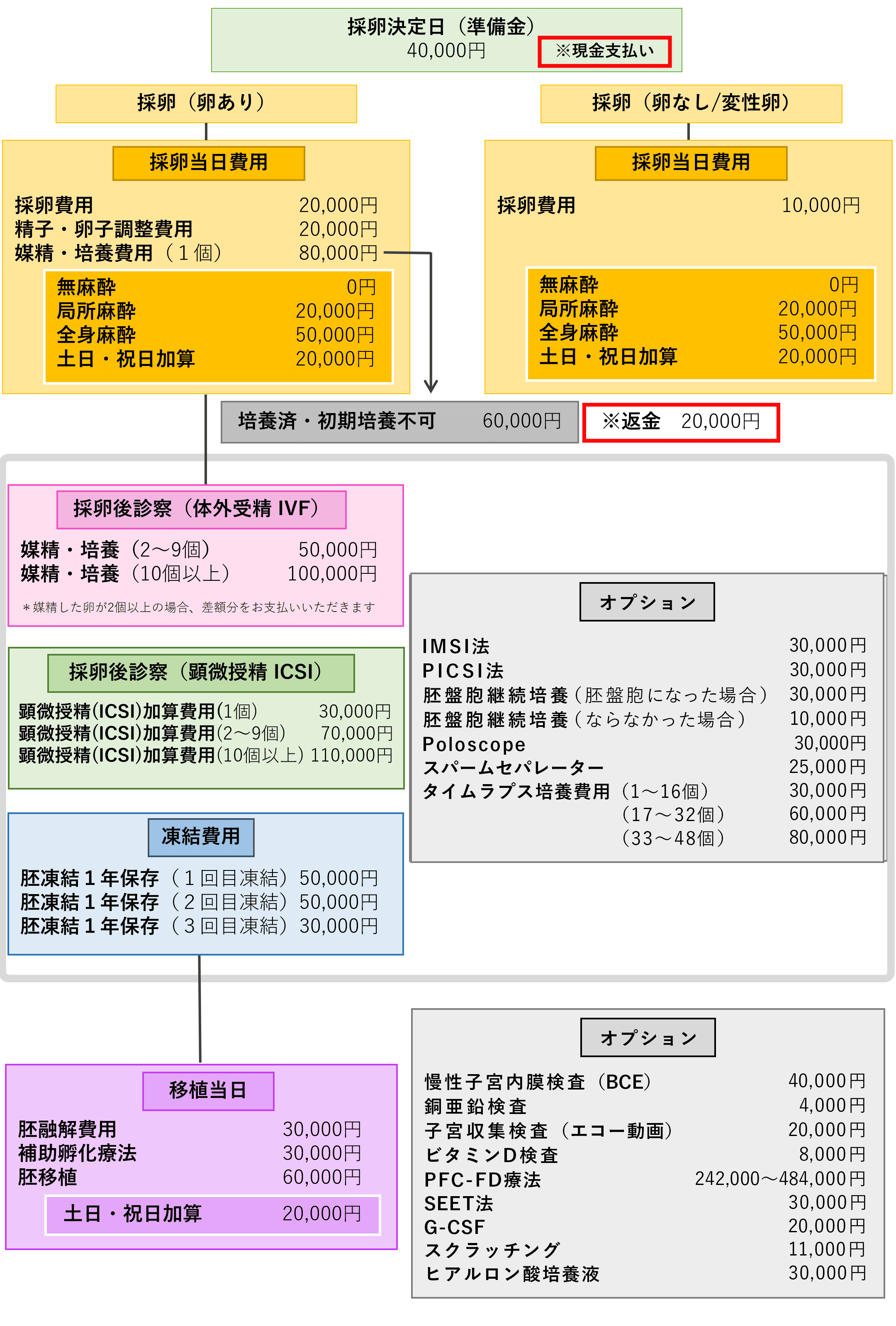 不妊治療の流れと料金（保険）